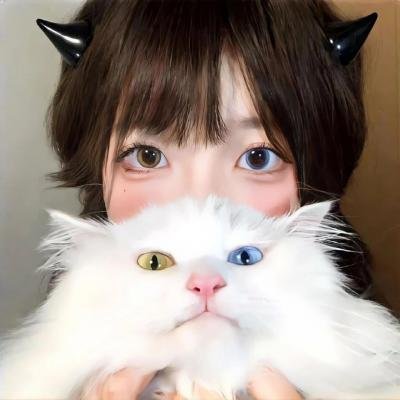 我的小狮王